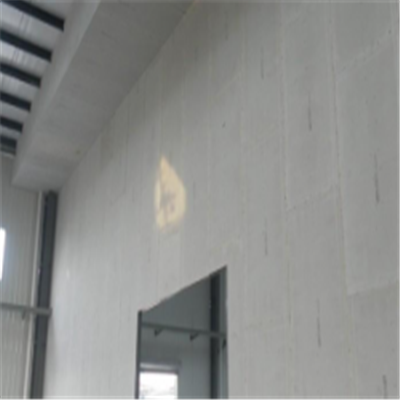 宣汉新型建筑材料掺多种工业废渣的ALC|ACC|FPS模块板材轻质隔墙板